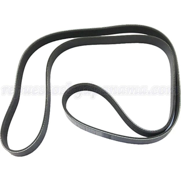 Cinturón Serpentina- Accesorios Byd